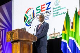 South Africa's SEZ Programme Drives R14.8 Billion Investment and 30,000 Jobs