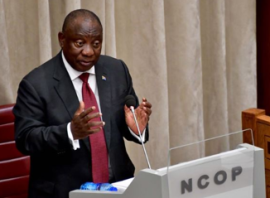 Ramaphosa Denounces Xenophobia, Affirms State's Role in Immigration Enforcement