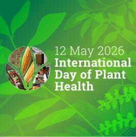 South Africa to Host International Day of Plant Health in Mpumalanga