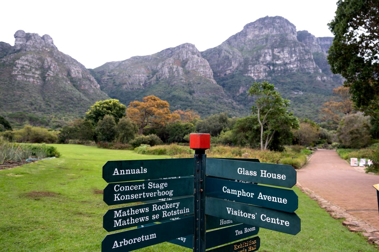 Kirstenbosch Gardens Facing Crisis Amidst Bureaucracy and Lost Expertise, Experts Warn