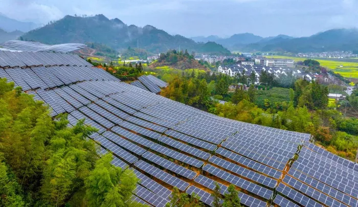 South Africa's Green Economy Poised for Massive Job Growth, But Risks Linger