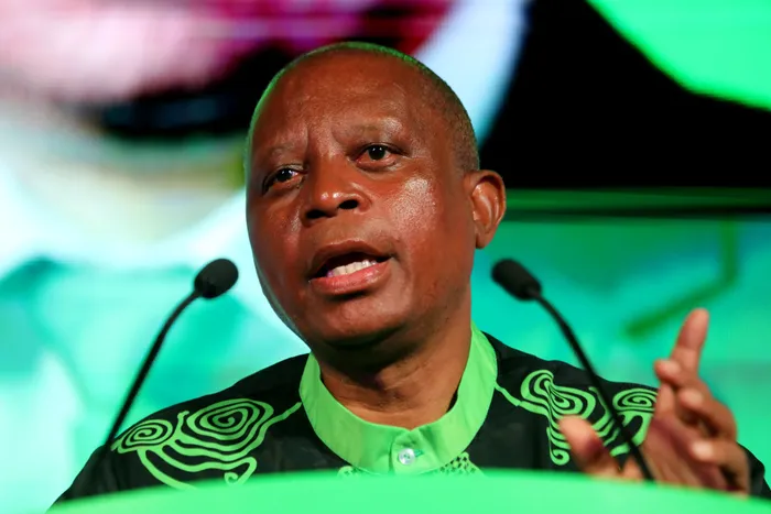 Mashaba Vows Mass Deportations, Declares Stranded Migrants Not South Africa's Problem